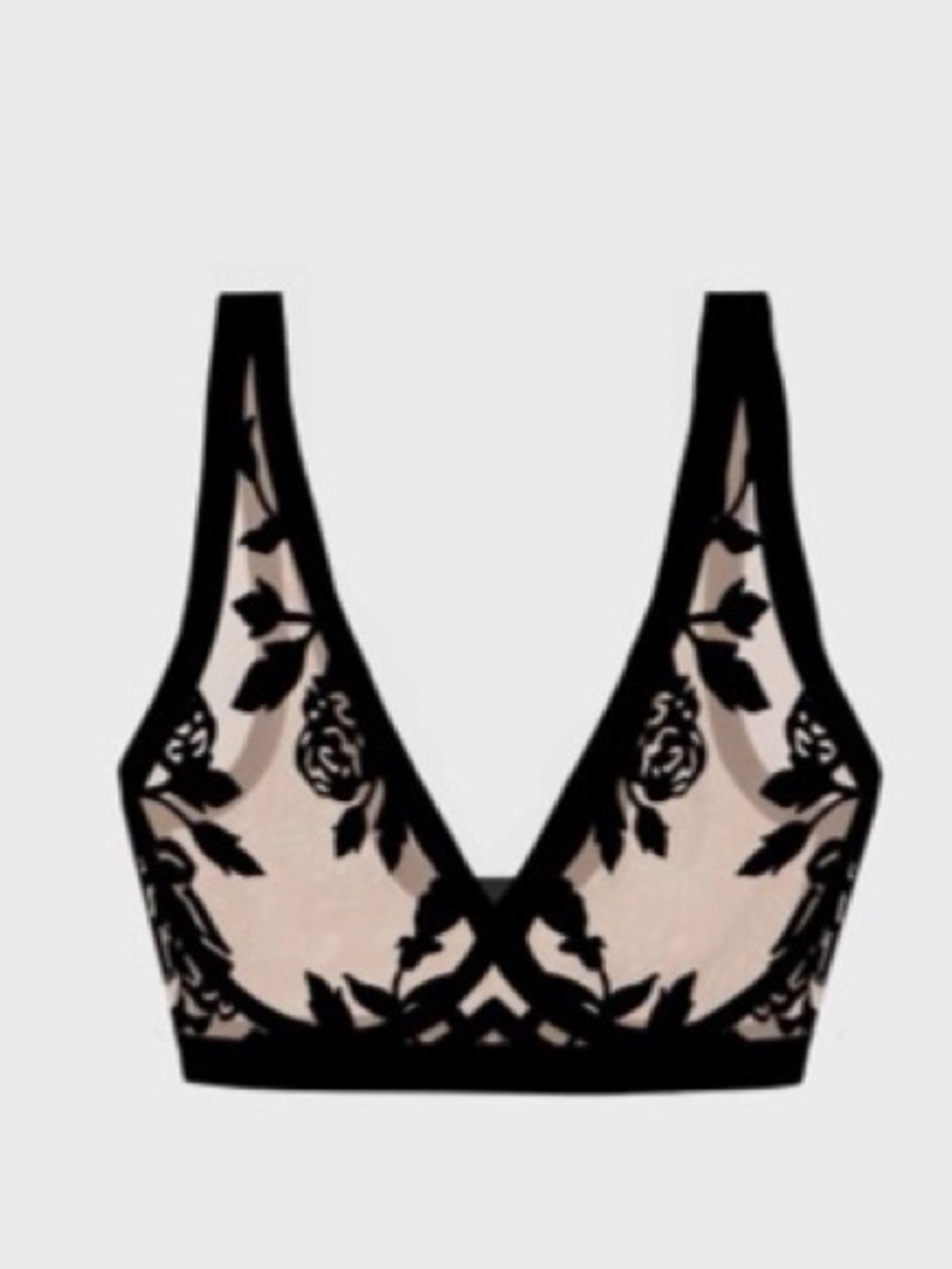 NWT EBY Sheer Bralette